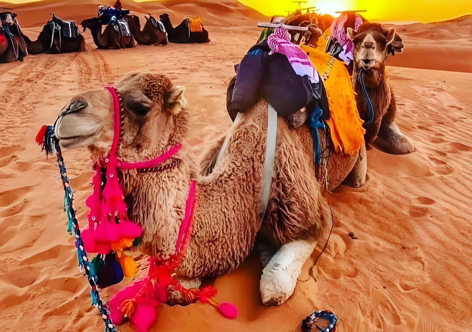 Top Desert Luxury Camp Merzouga Exterior photo